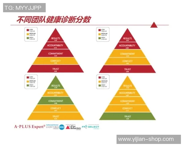 深圳羽毛球队战术解析：聚焦技术与团队协作的完美结合