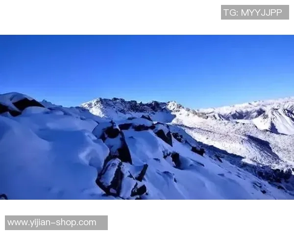 成都极限运动队比赛经验深度对比与启示分析