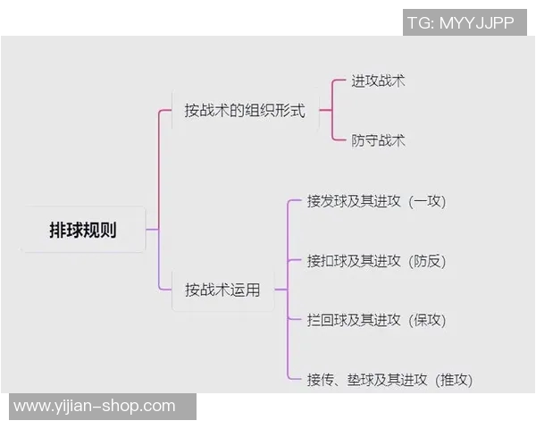 南京排球队中路突破战术解析与实战应用探讨